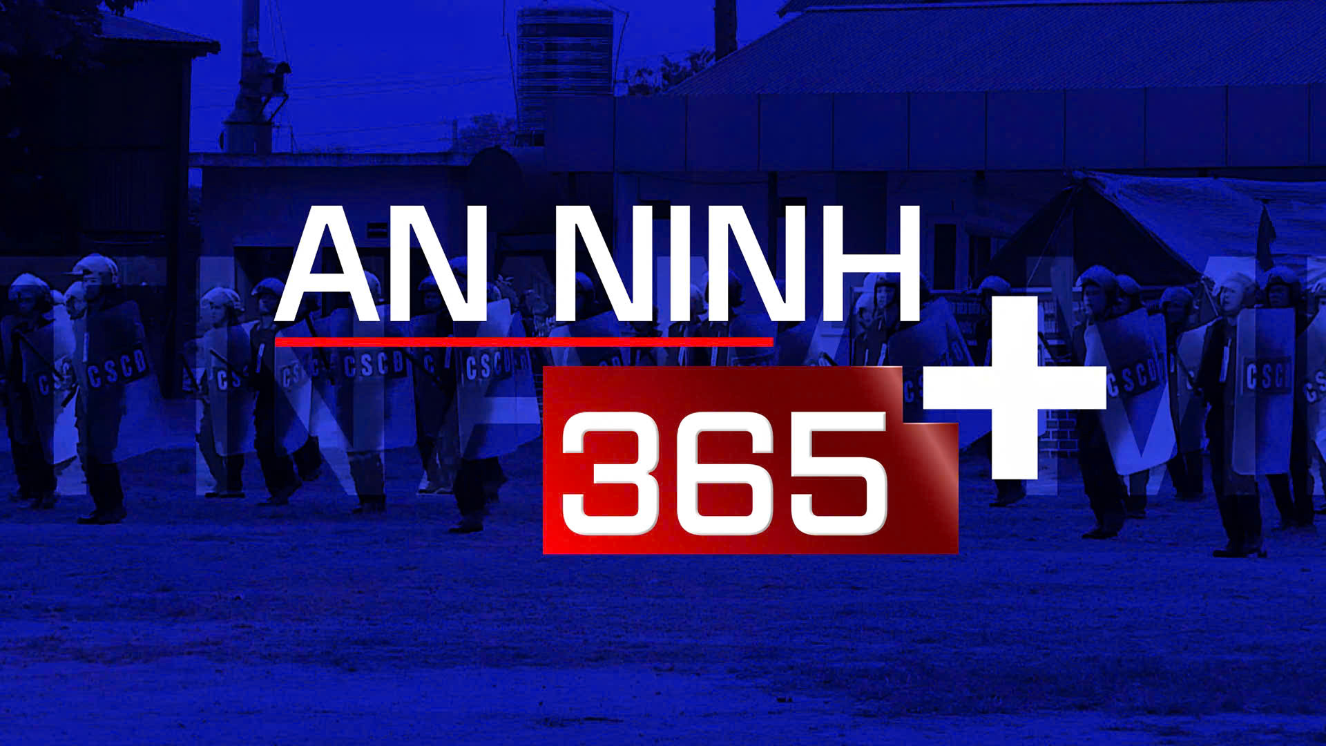 Chương trình trên Vnews